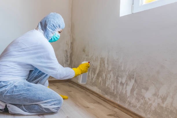 Commercial Mold Remediation assessment for commercial property in Drake
