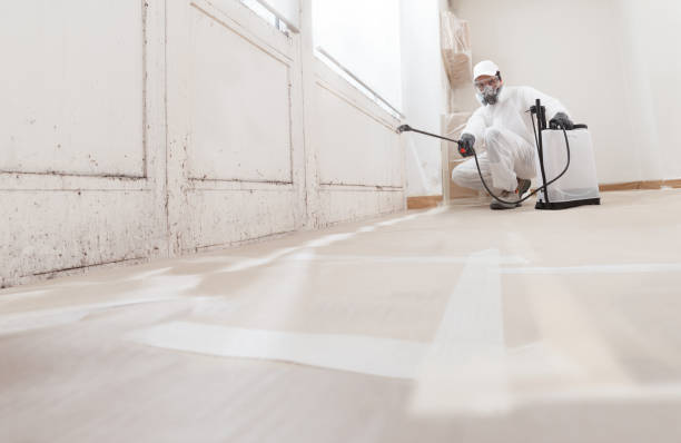 Black mold remediation team in Drake