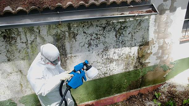 Mold Remediation service in Drake, Drake, CO